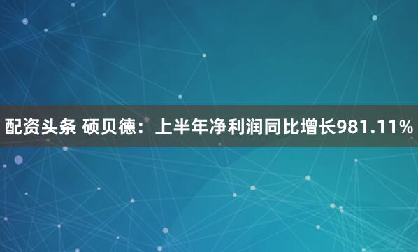 配资头条 硕贝德：上半年净利润同比增长981.11%