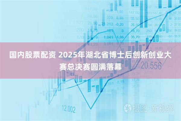 国内股票配资 2025年湖北省博士后创新创业大赛总决赛圆满落幕